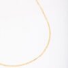 Long Chain Necklace